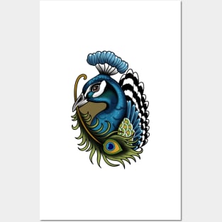 Peacock Posters and Art